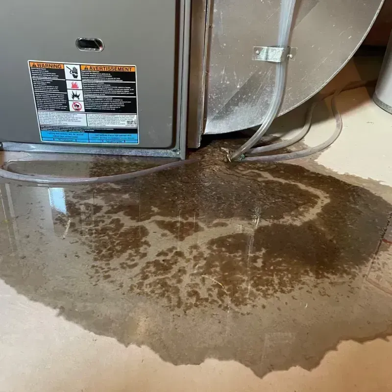 Appliance Leak Cleanup in Campbellsville, KY